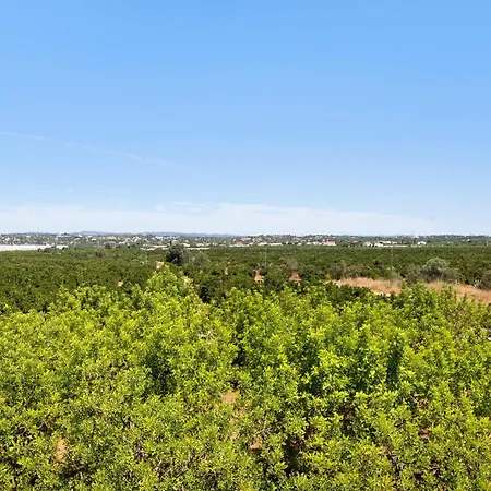Quinta Alegre Tavira Moderno T2 Dom wakacyjny Luz de Tavira
