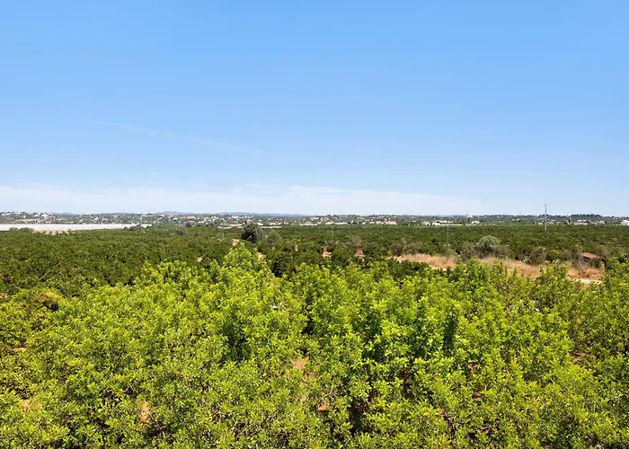 Quinta Alegre Tavira Moderno T2 Ferienhaus Luz de Tavira